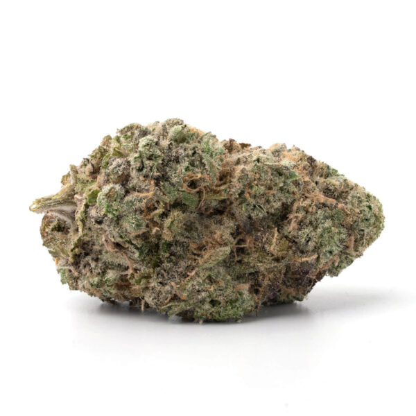 Buy Bacio Gelato Weed