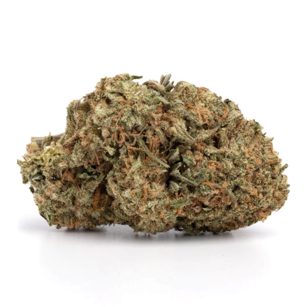 Buy Critical Mass Weed