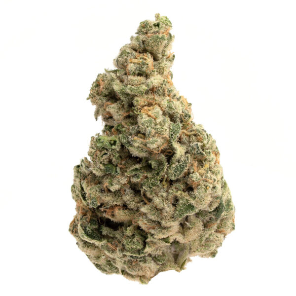 Buy Florida Sunrise Weed