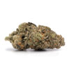 Buy Gary Payton Weed