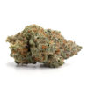 Buy Great White Shark Weed