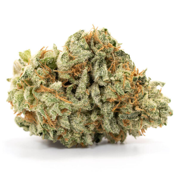 Buy Green Ribbon Weed