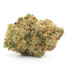 Buy Hash Plant Weed
