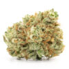 Buy Lemon Frost Weed