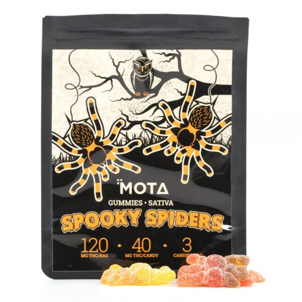 Spooky Spiders (Mota)