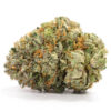 Buy Panama Red Weed