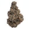 Buy White Truffle Weed