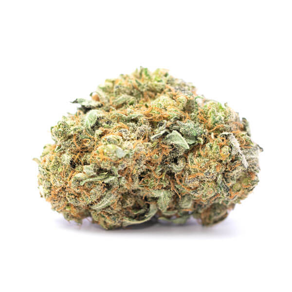 Buy Cinderella 99 Weed