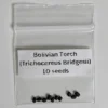 Bolivian Torch Seeds