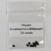 Peyote Cactus Seeds
