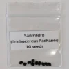San Pedro Cactus Seeds